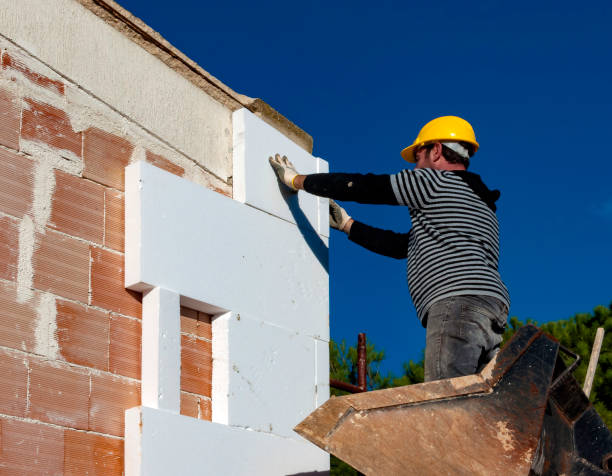 Best Insulation Maintenance and Repair in Hudson, IL