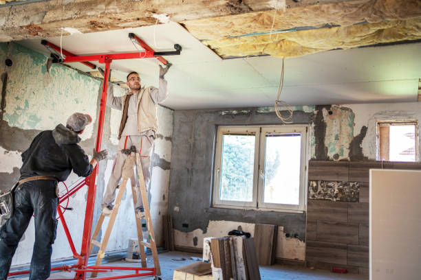 Best Residential Insulation in Hudson, IL