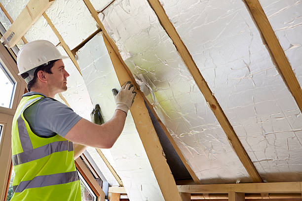 Best Insulation Maintenance and Repair in Hudson, IL